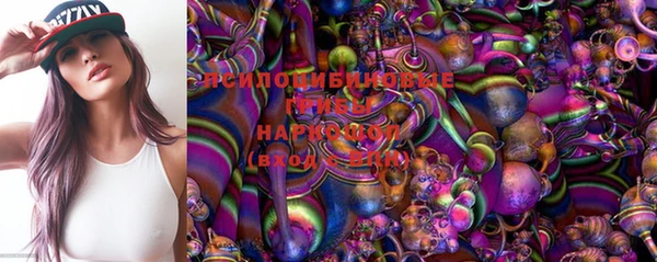 гидропоника Арсеньев