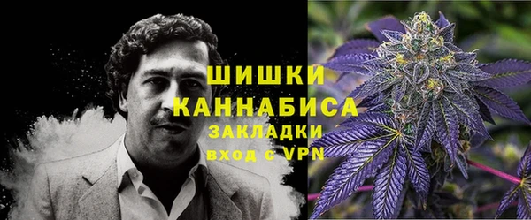 винт Аркадак