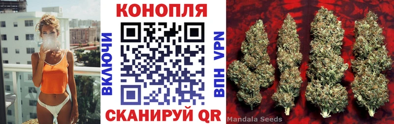 как найти закладки  Белая Холуница  Каннабис White Widow 